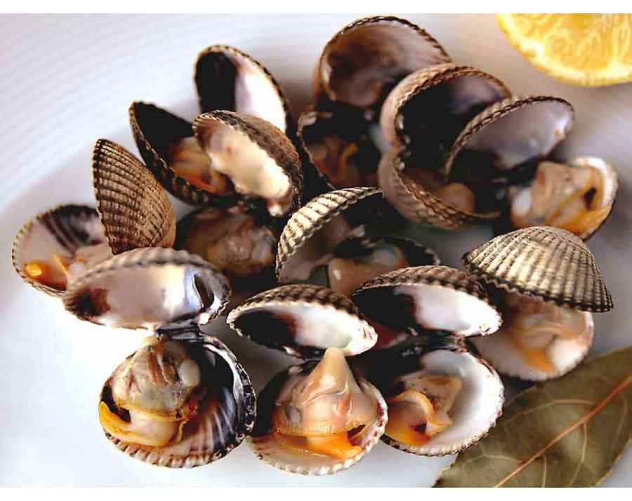 Coques d'Espagne