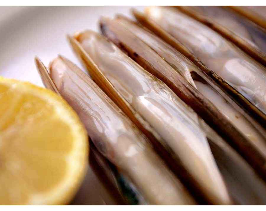 Couteaux de mer d'Espagne