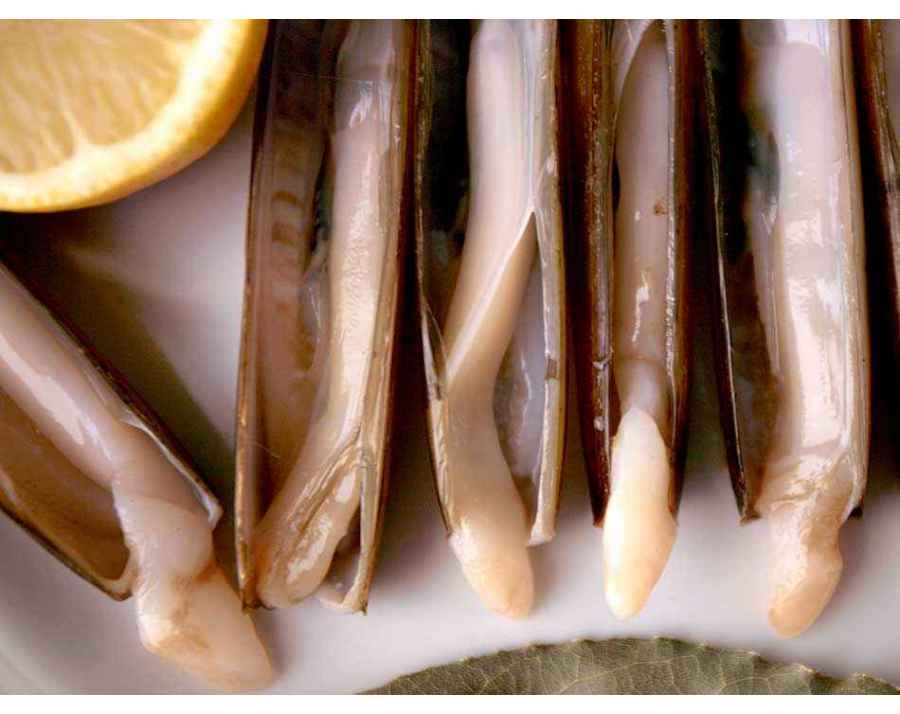 Couteaux de mer d'Espagne. Acheter des Fruits de Mer à domicile