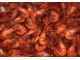 Crevettes de Galice