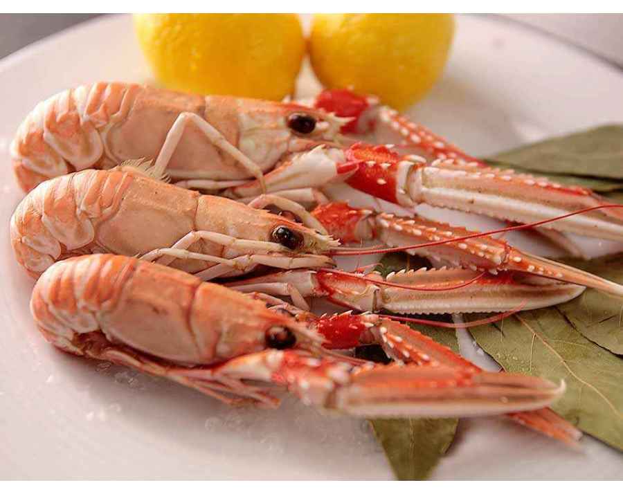 Langoustines